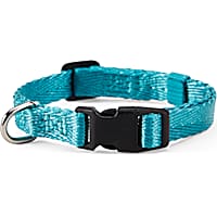 YOULY The Classic Turquoise Webbed Nylon Dog Collar