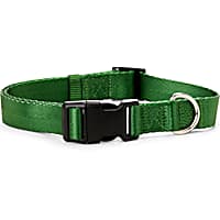 YOULY The Classic Dark Green Webbed Nylon Dog Collar