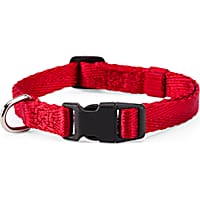 YOULY The Classic Red Webbed Nylon Dog Collar