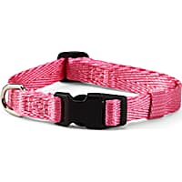 YOULY The Classic Pink Webbed Nylon Dog Collar