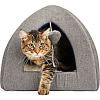 EveryYay Gray Snooze Fest Igloo Hooded Cat Bed