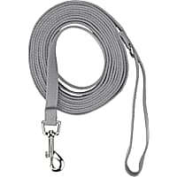 EveryYay Settin' the Pace Recall Training Leash for Dogs