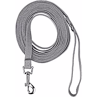 EveryYay Settin' the Pace Recall Training Leash for Dogs