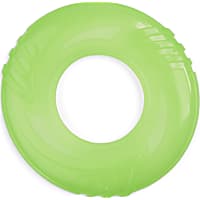 Leaps & Bounds Romp & Run Glow-In-The-Dark Flyer Dog Toy
