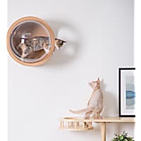 MYZOO AndMakers Spaceship Oak Gamma Wall Mounted Cat Bed On the Right