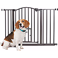 EveryYay In The Zone Arched Metal Walk-Through Pet Gate