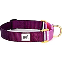 Dog + Bone Purple & Orchid Martingale Dog Collar