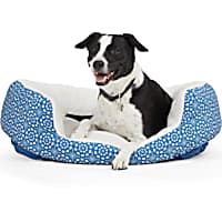EveryYay Essentials Snooze Fest Blue Tile-Print Round Dog Bed