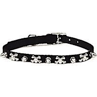 YOULY Bling Dog Collar