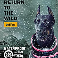 Dog Helios Black Weather-King Ultimate Windproof Full Bodied Pet Jacket