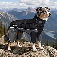 Touchdog Black Quantum-Ice Full-Bodied Adjustable and 3M Reflective Dog Jacket