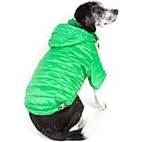 Dog Coats & Jackets: Dog Raincoats & Winter Coats, Petco