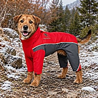 Touchdog Red Quantum-Ice Full-Bodied Adjustable and 3M Reflective Dog Jacket