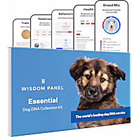 Wisdom Panel Essential Dog DNA Test Kit