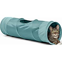 Best Friends by Sheri Tide Cat Tunnel