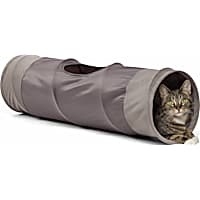 Best Friends by Sheri Gray Cat Tunnel