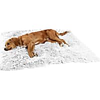 Best Friends by Sheri Frost Calming Shag Fur Blanket for Pets