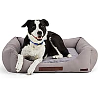 Reddy Canvas Cozy & Cool-Touch Dog Bed