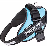 Julius-K9 Dog Harness