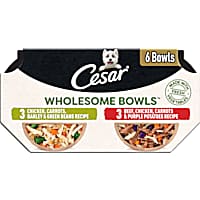 Cesar Wholesome Bowls Adult Soft Wet Dog Food Toppers Variety Pack