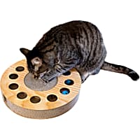 Cat Treat Puzzle Toy & Brain Stimulation – JTWoodworks