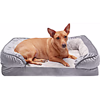 FurHaven Velvet Waves Perfect Comfort Orthopedic Sofa Bed for Dogs