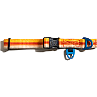 United By Blue Tangerine Stripe Recycled Navy/Orange Woven Dog Collar