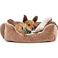 EveryYay Essentials Brown Snooze Fest Dog Bed Bundle