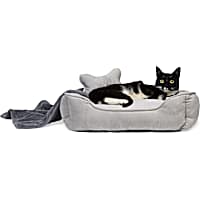 EveryYay Essentials Grey Snooze Fest Dog Bed Bundle