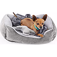EveryYay Essentials Dog Bed Bundle