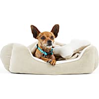 EveryYay Essentials Khaki Snooze Fest Dog Bed Bundle