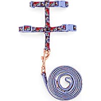 YOULY The Dreamer Multicolor Floral Kitten Harness & Leash Set