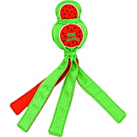 KONG Ballistic Watermelon Wubba Dog Toys