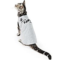YOULY The Extrovert Paise Your Paws In The Air Cat Graphic T-Shirt
