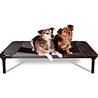 Pet cots for sale hotsell