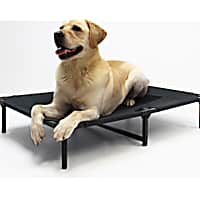 Lucky Dog Comfort Cot Gray Elevated Bed