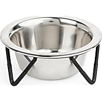 EveryYay Better Together Elevated Stainless-Steel Cat Bowl