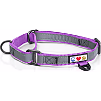 Pawtitas Reflective Martingale Dog Collar