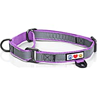 Pawtitas Purple Reflective Martingale Dog Collar