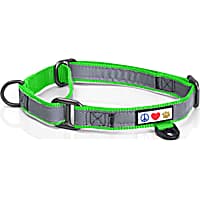 LED Dog Collars Reflective Light Up Glow Collars Petco