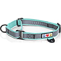 Pawtitas Teal Reflective Martingale Dog Collar