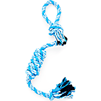 Leaps & Bounds Blue Twisted Rope Dog Toy