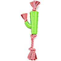Leaps & Bounds Rubber Cactus & Rope Dog Toy