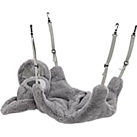 EveryYay Hangin' Around Koala Bear Ferret Hammock