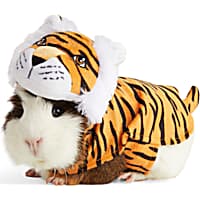 Bootique Fierce Feline Guinea Pig Costume