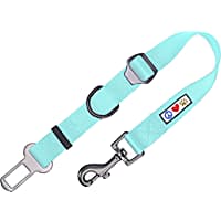 Pawtitas Teal Seat Belt Pet Carrier