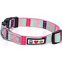 Pawtitas Multicolor Teal Dog Collar