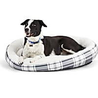 EveryYay Essentials Snooze Fest Black Plaid Cuddler Dog Bed