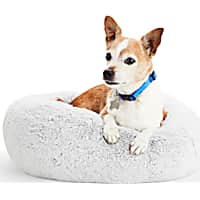 EveryYay Snooze Fest Grey Round Bed for Dogs