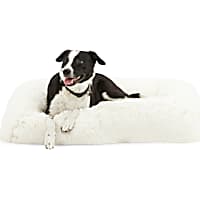 EveryYay Snooze Fest Cream Calming Bed for Dogs